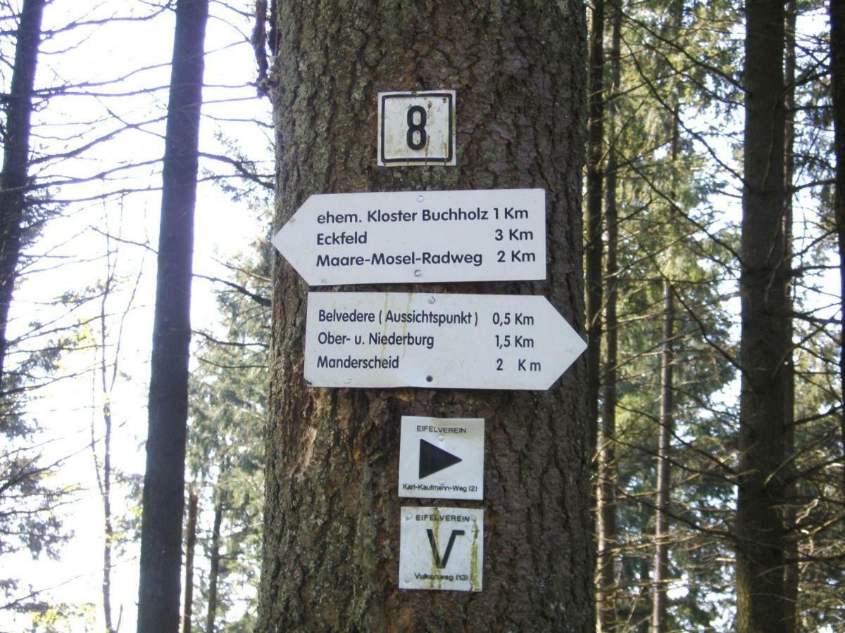 Ferienwohnung Kirschbaum Eckfeld Eksteriør bilde